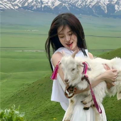 你好，翠小姐 海报